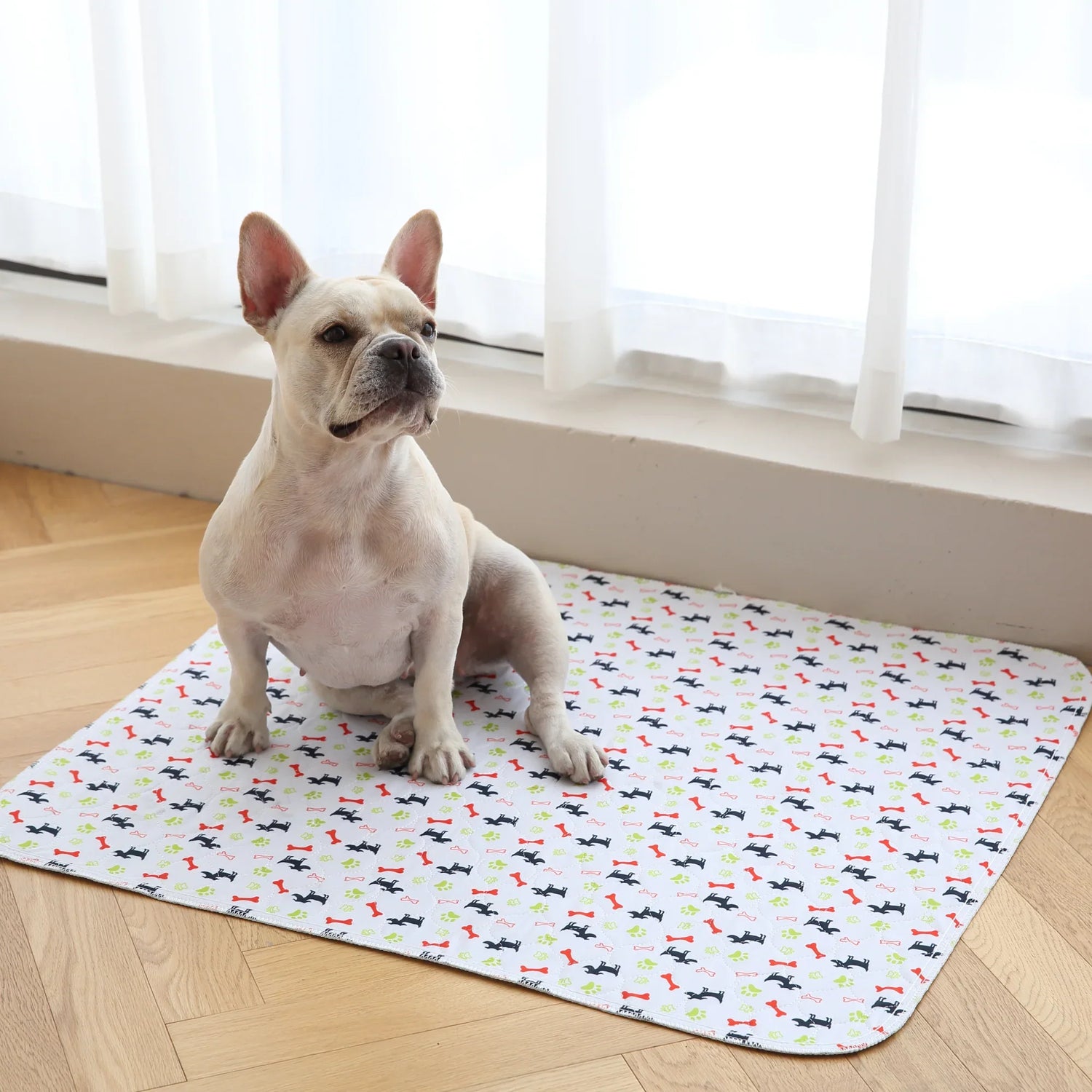 Tapis Toutou – Le dernier tapis pour faire pipi que vous aurez.